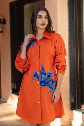 Spice Daze Shirt Dress